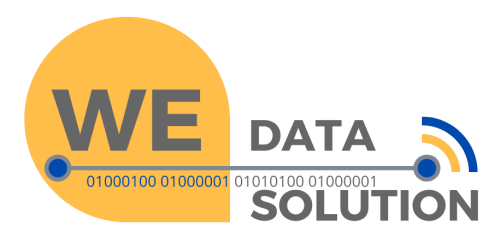 WE DATA SOLUTION